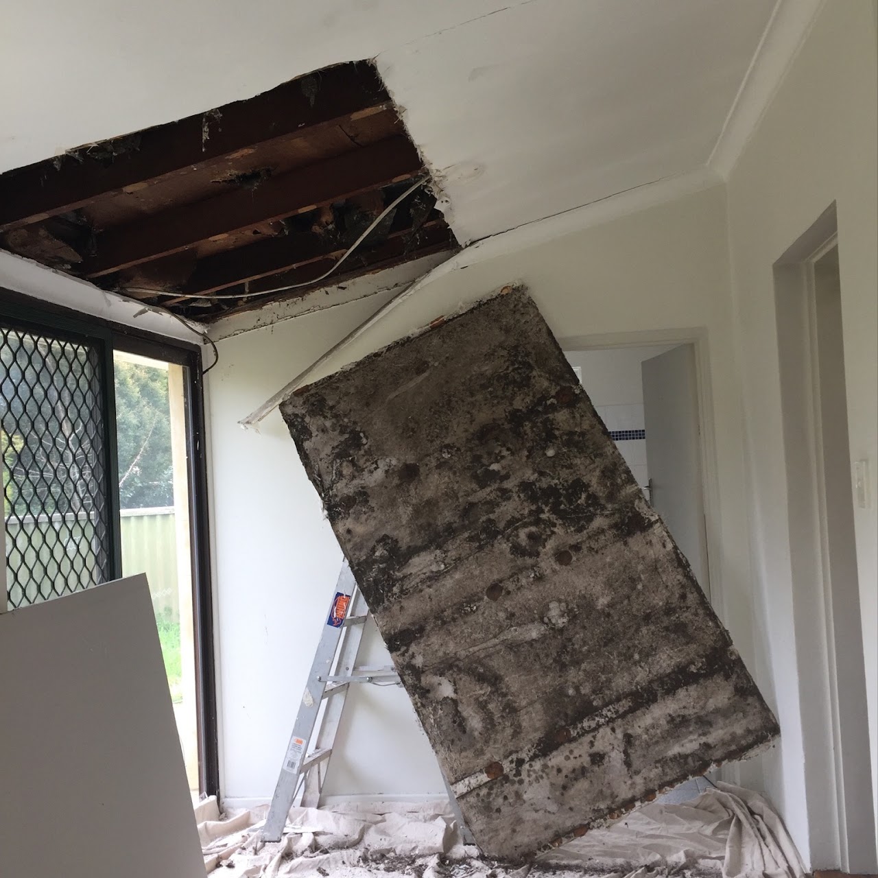 Water damage restoration